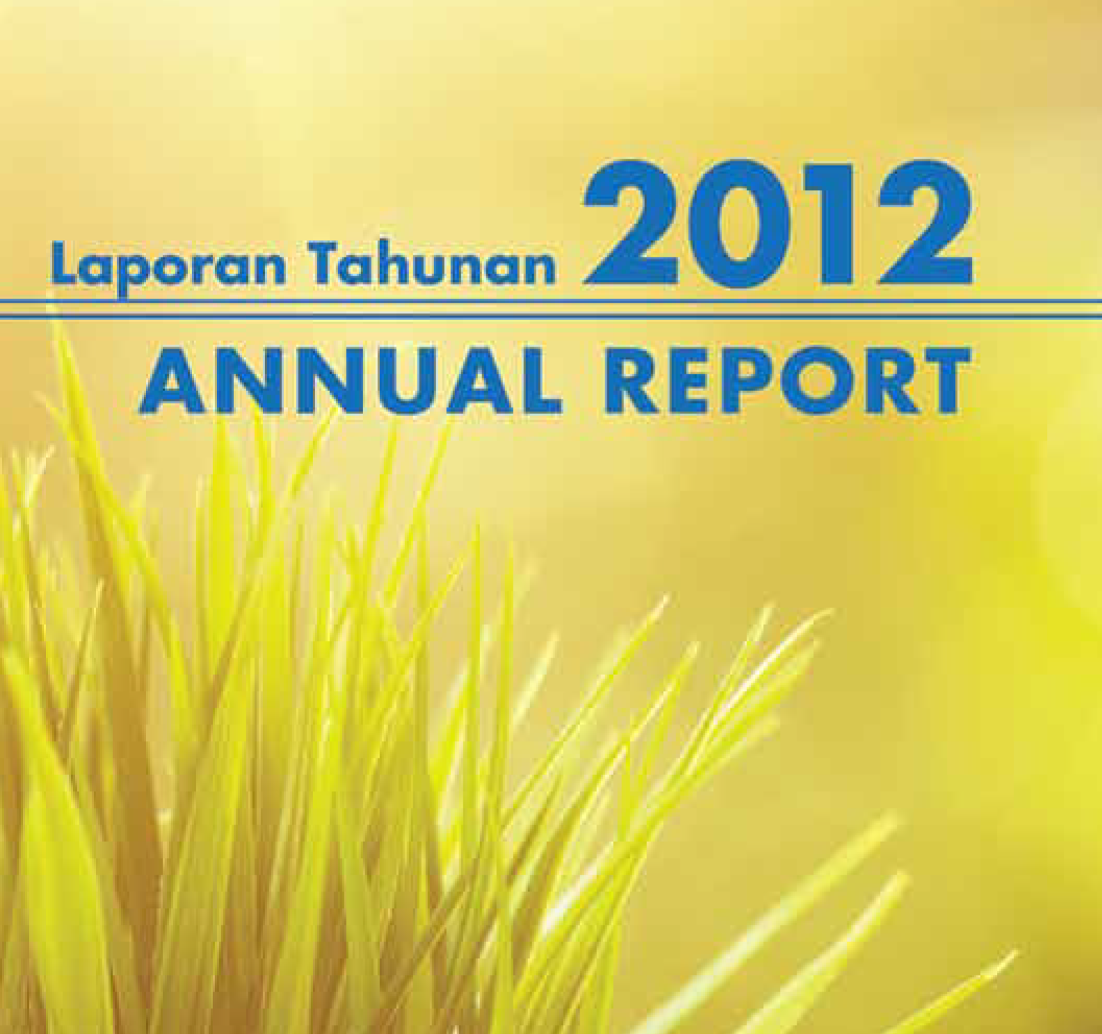 Annual Report 2012
