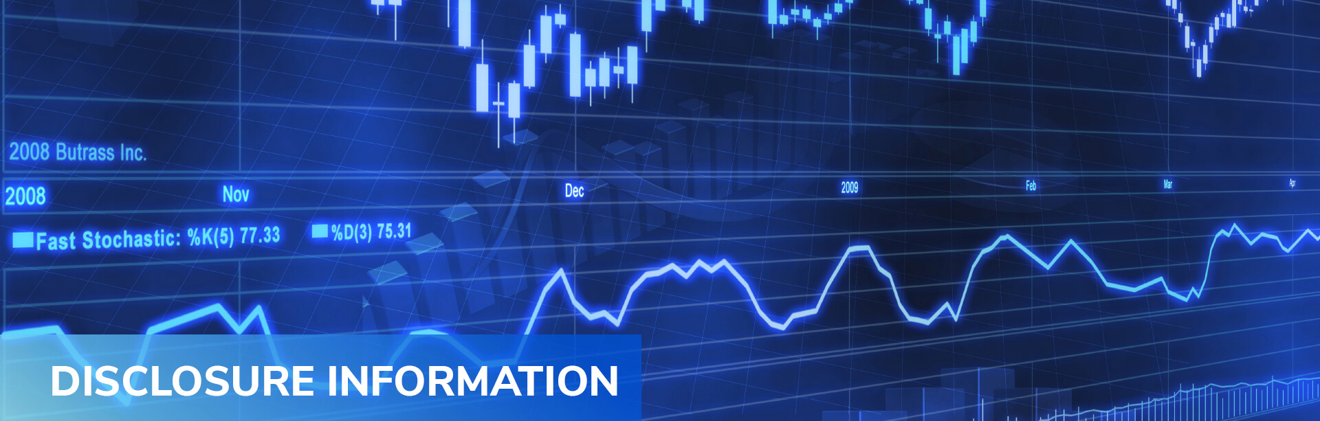 DISCLOSURE INFORMATION