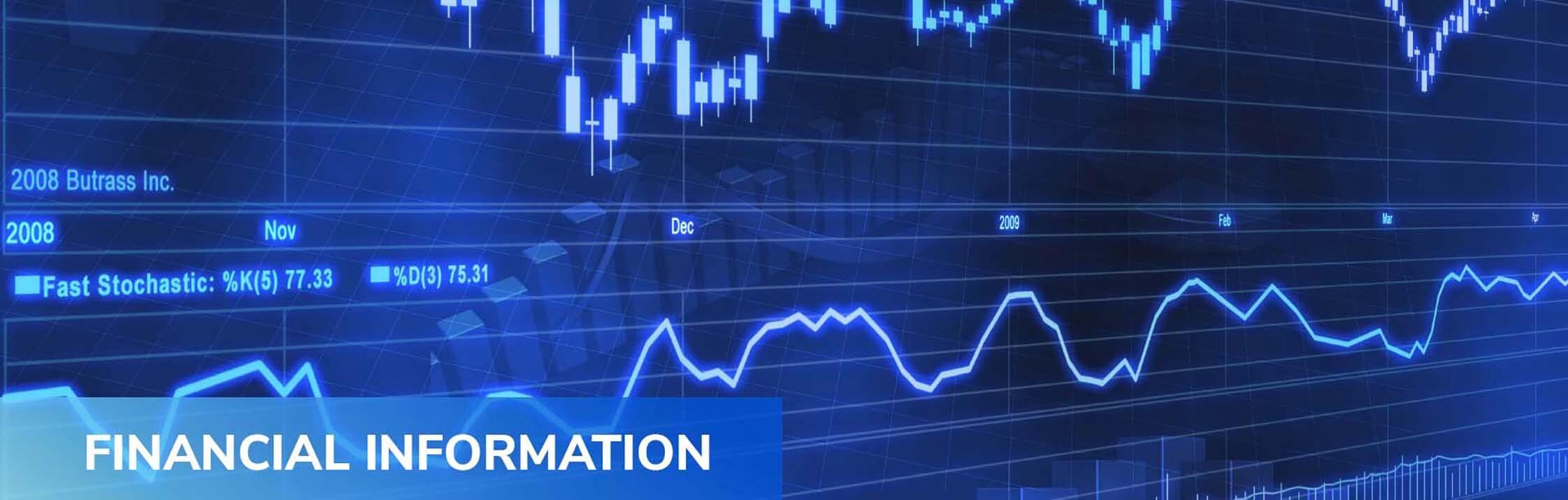 financial information