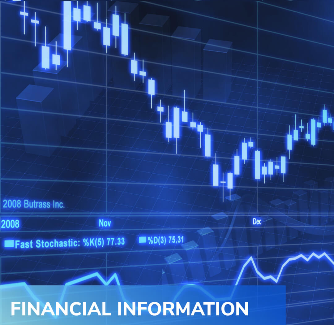 Financial Information