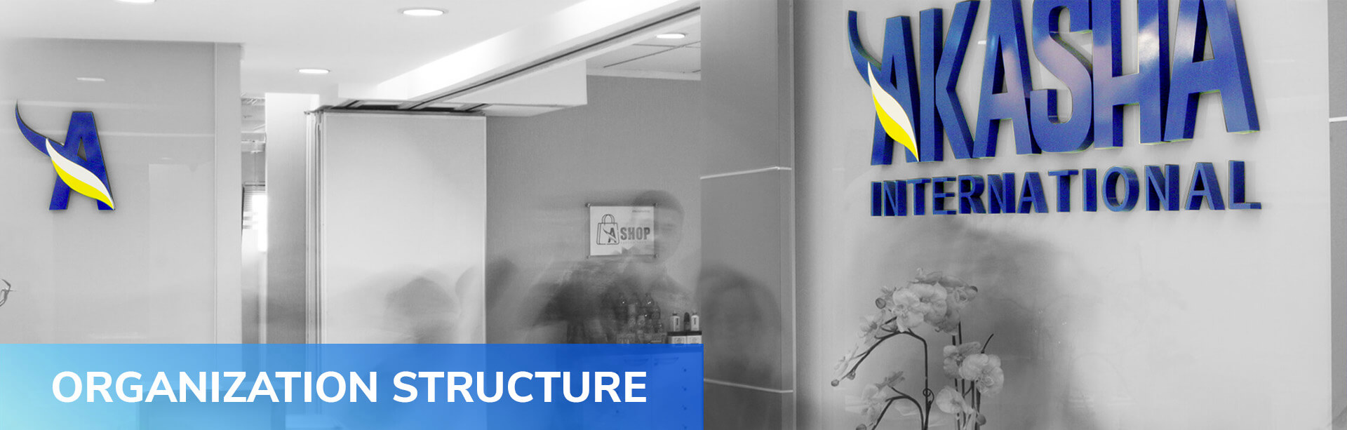 Organization Structure