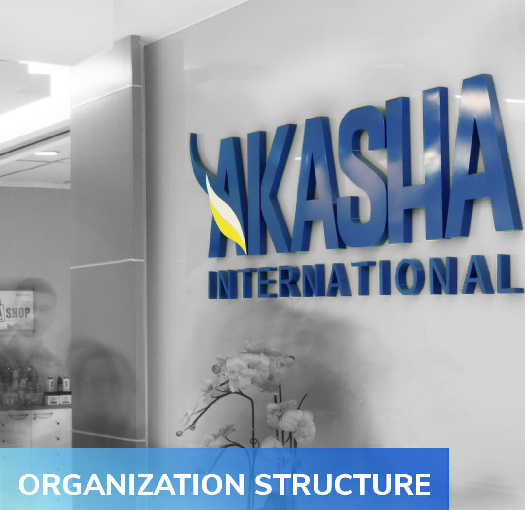 Organization Structure