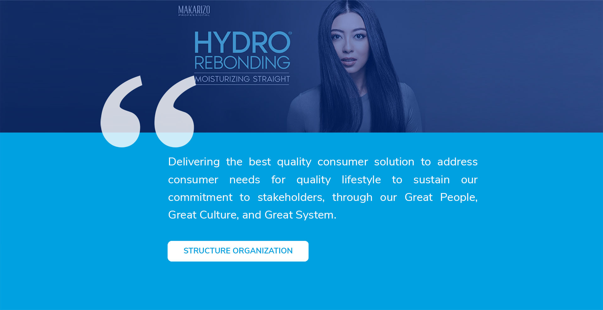 Struktur Organization