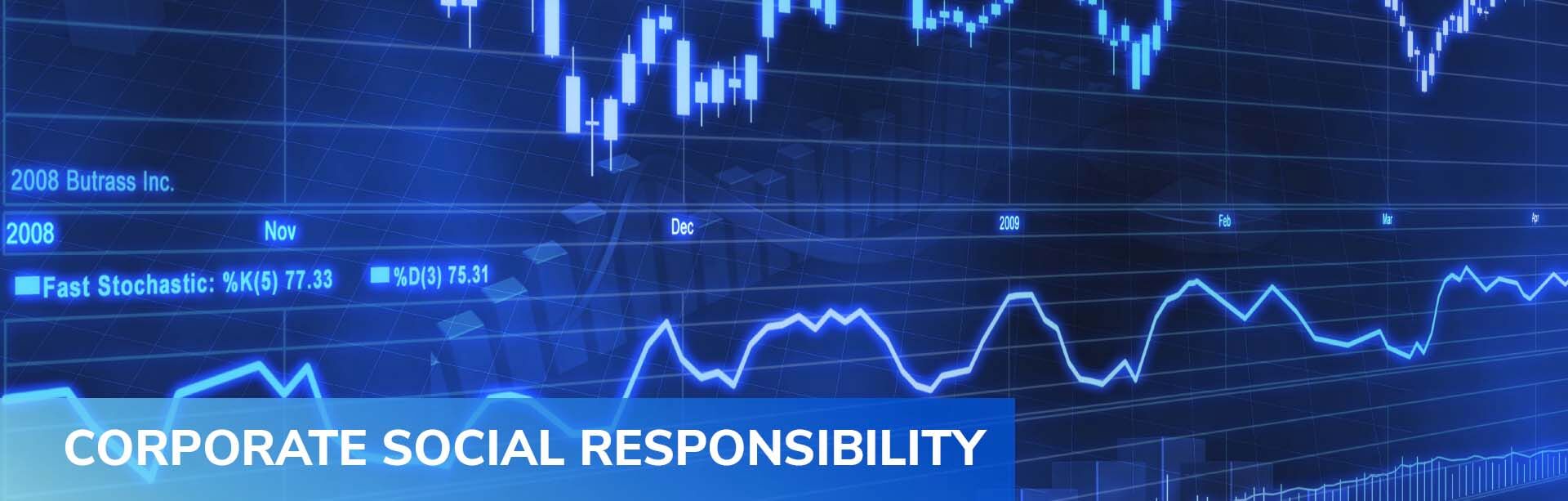 corporate social responsibility